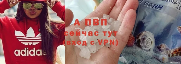 мяу мяу мука Ладушкин