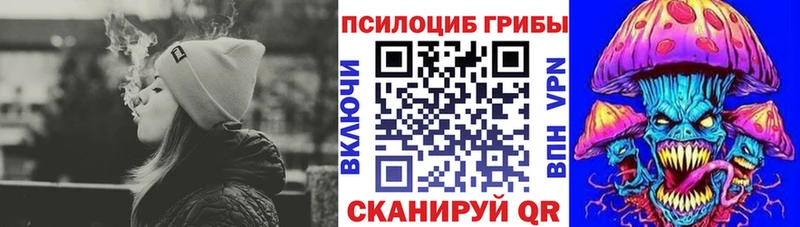 Купить  Верхотурье  Галлюциногенные грибы Psilocybine cubensis 